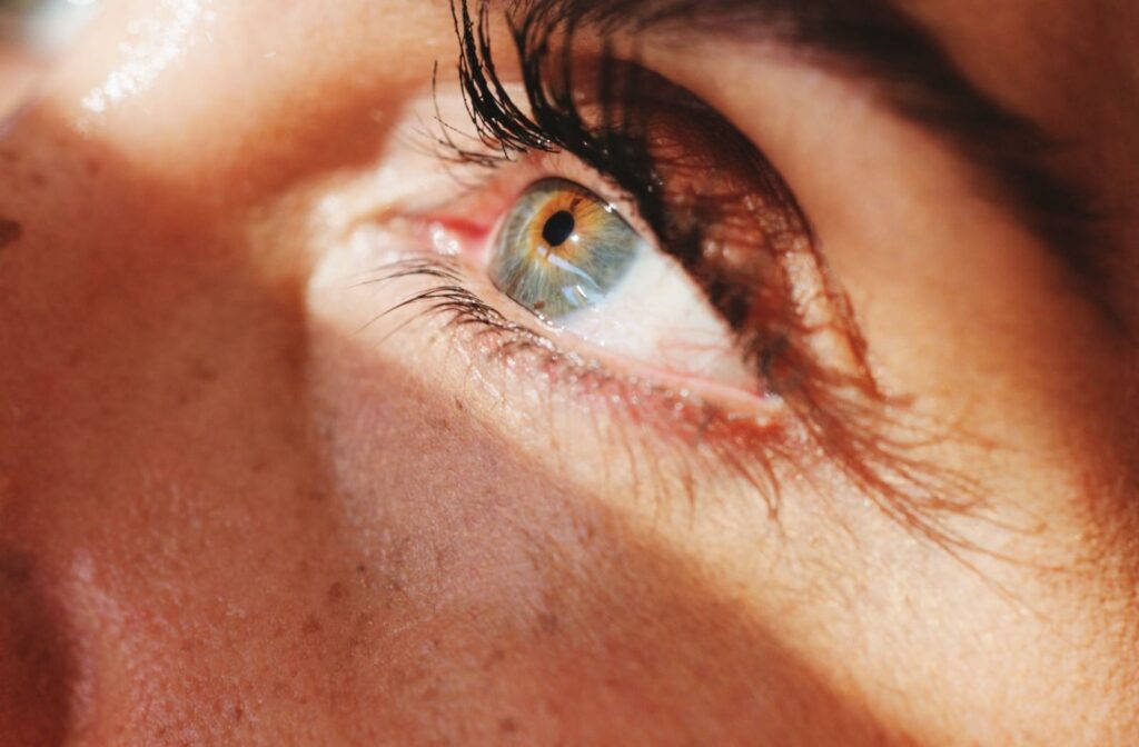 Close-up of a healthy eye with visible iris detail and natural eyelashes, highlighting the eye's surface, cornea, and tear film.